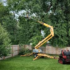 Trusted Jamestown, KY  Tree Services Experts